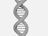 DNA Double Helix-3