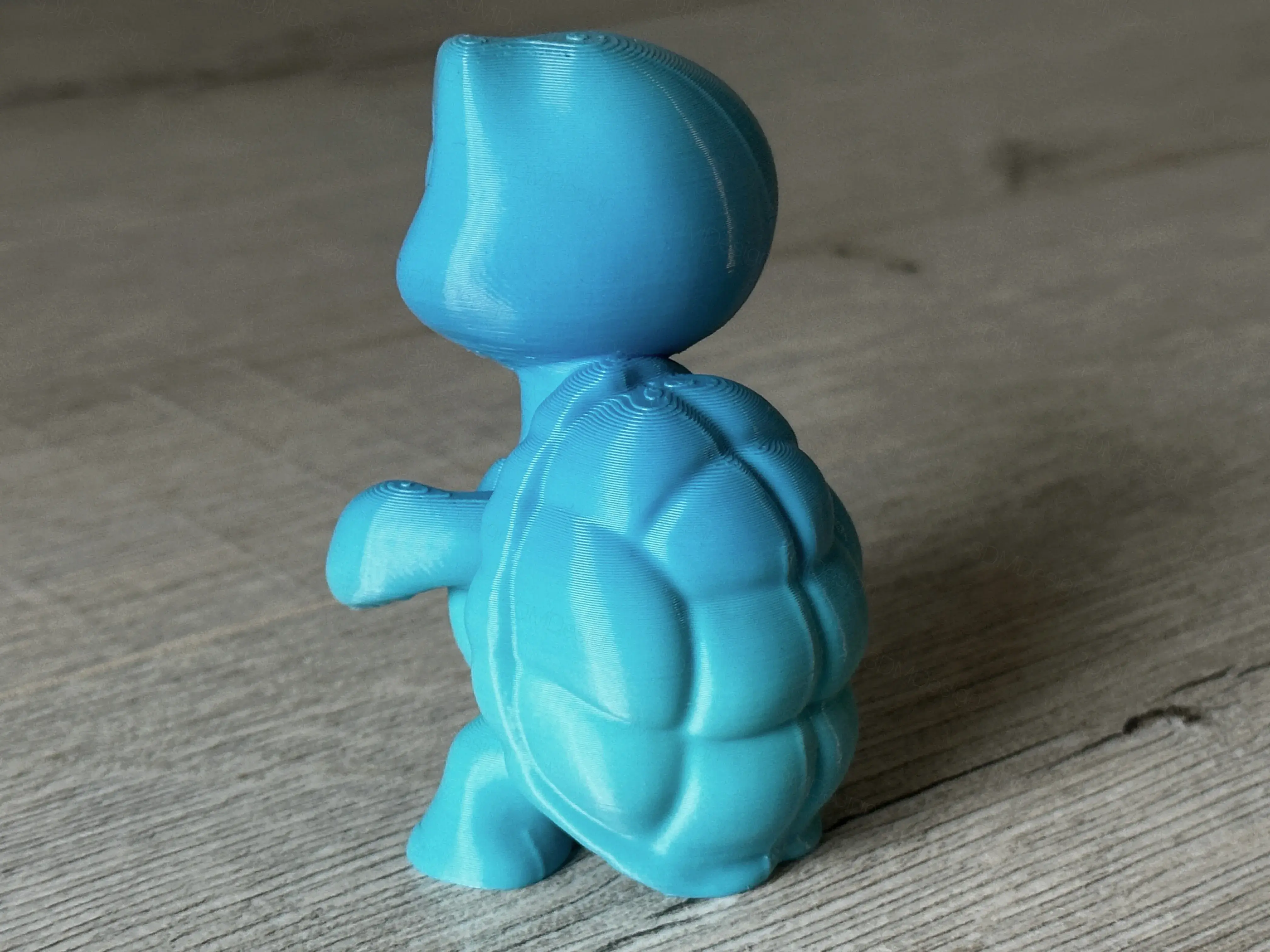 Turtle Max