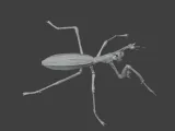Insect Mantis Assembly Model-3