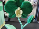 orchid 3 colors-2