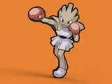 エビワラーライトボックス-1