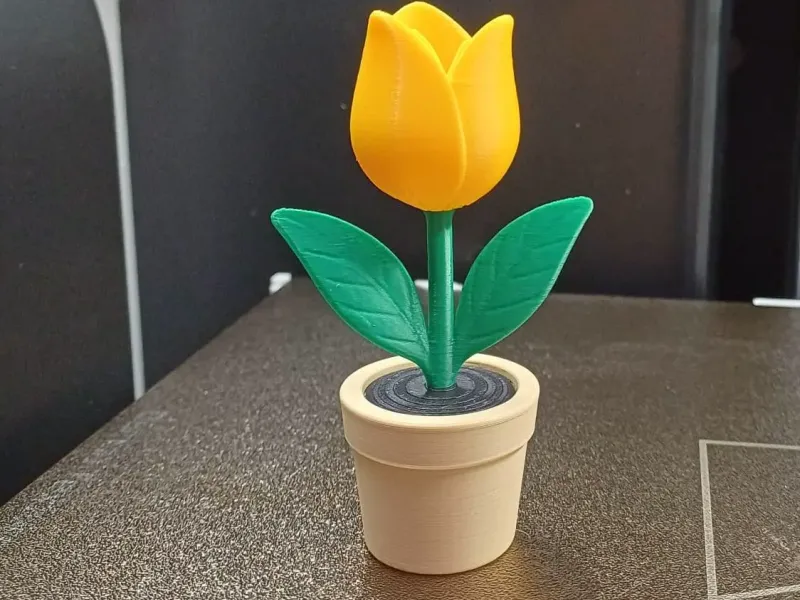 Uma tulipa alegre que nunca para de florescer