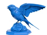 Swallow figure-2