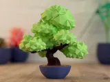 Bonsai-3
