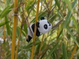 PANDA-1