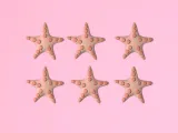 Cute tic tac toe game 🐚⭐️-3