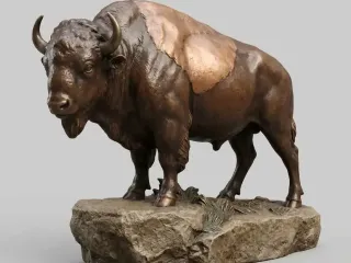 Bison