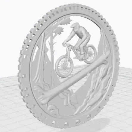 MTB rider in 3D