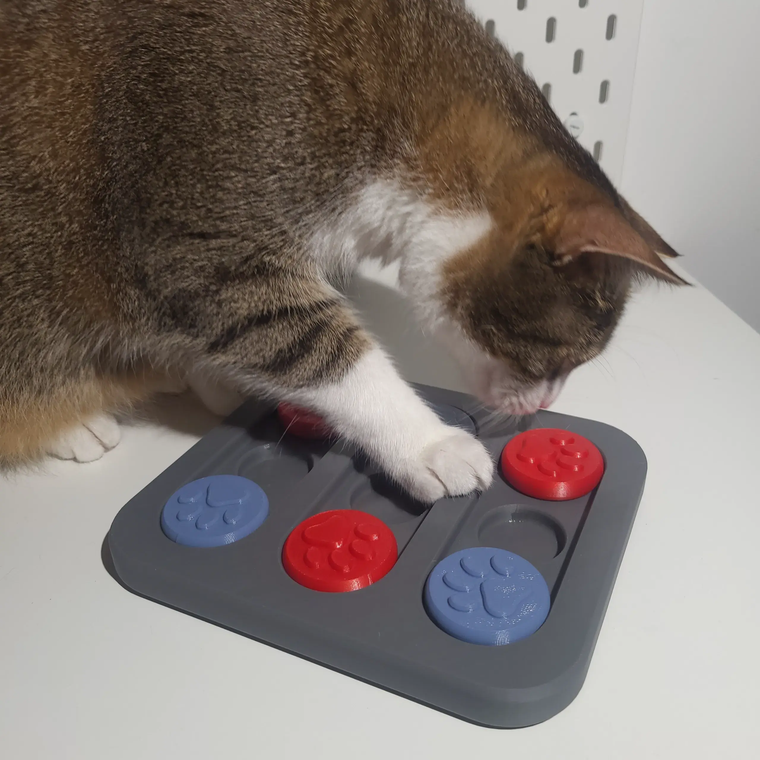 Cat treat puzzle board