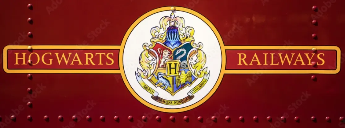 PUENTE HARRY POTTER