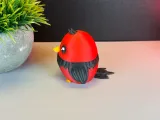 Cute Bird-4