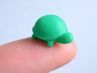mini tartaruga 