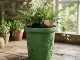 semplice vaso con tema floreale-0