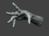 Human Hand Gesture-2