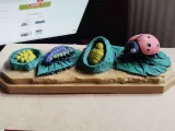 Ladybug Life Cycle – Educational Model-1