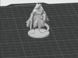 Dragonborn Rogue - DND Minifig-1