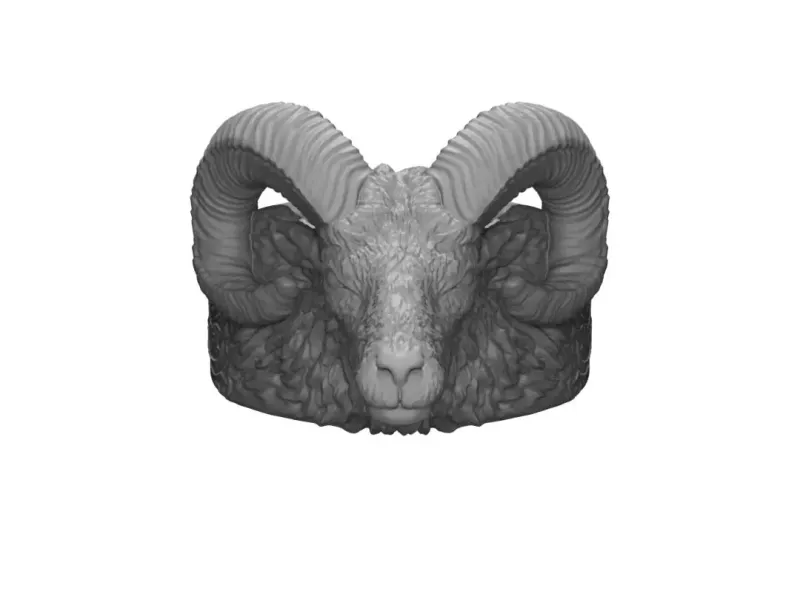 EXCLUSIVE GOAT RING DETAIL ORIENTED