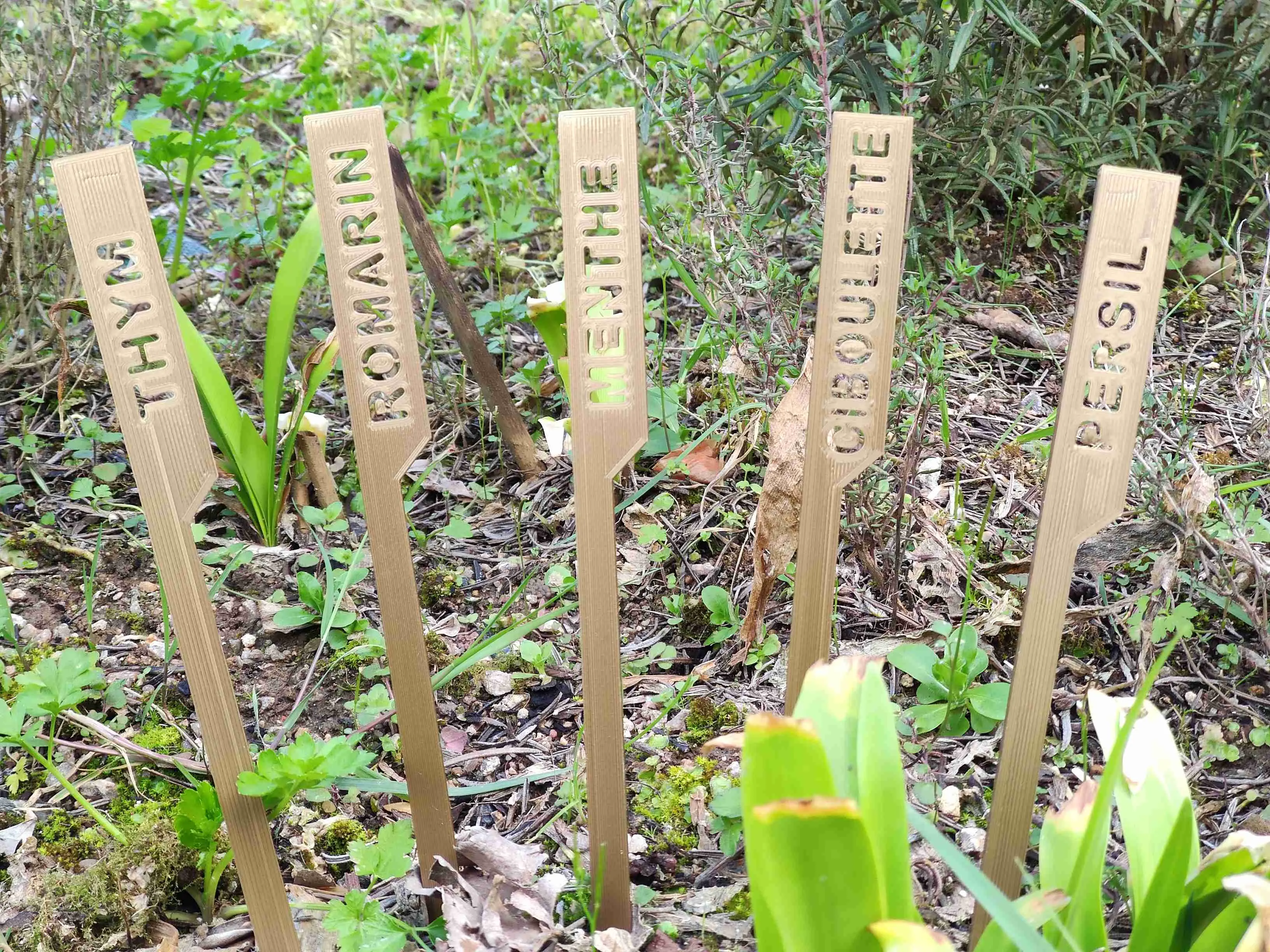 Labels for vegetable garden (English text)