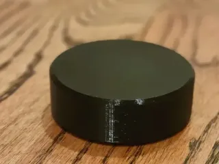 Hockey puck