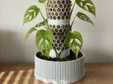 ClimbMate – Modular Moss Pole Planter with Self-Watering-1
