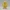 Sunnyknit Little Chick – Noah0x03