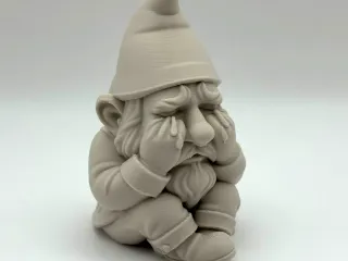 Sad Gnome