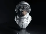 Intergalactic Monkey Crew-1