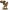 DyD Miniatures Gryphin 021