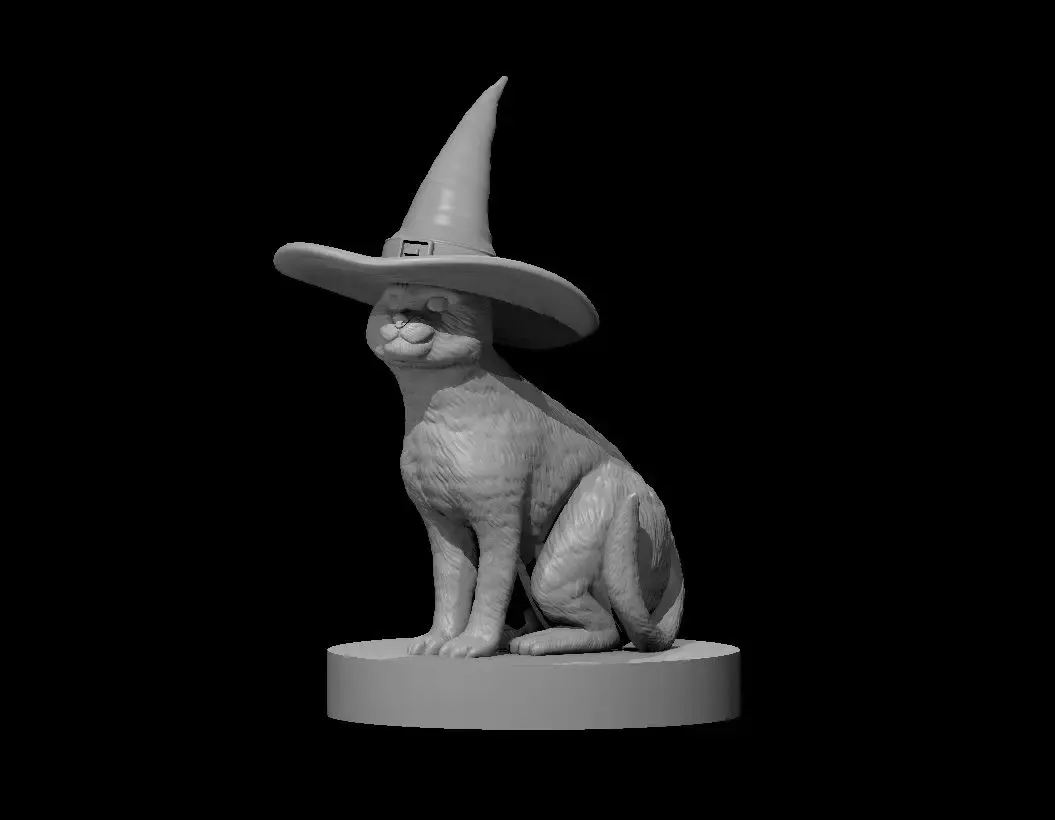 Cat whit Witch Hat