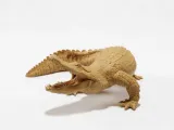 American alligators 3 poses-2