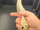 Skull Dagger-0