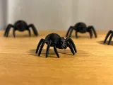 Aranha Assustadora-0