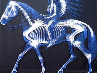 Horse and Rider Xray hueforge