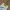 マルチサイズクリップ メモ 手紙 用紙クリップ チケット 写真