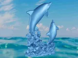 Dolphin coral-4