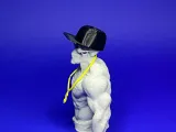 Cool buddy in snapback-2