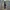 Seilkamera für GoPro, Insta360, DJI und mehr