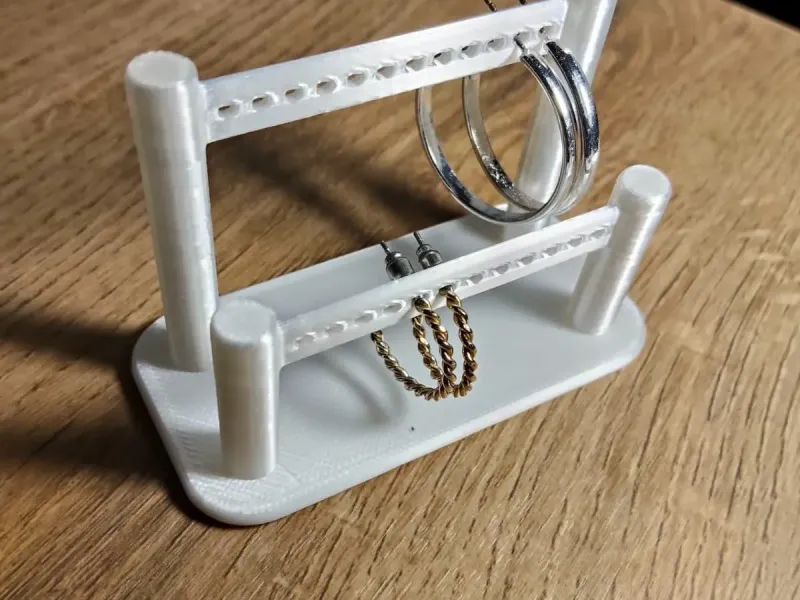 Earrings holder