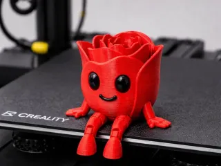 Articulated Rose (Valentines Day) - ROSA FLEXY