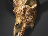 Bill, the Buffalo Skull-3