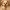 Happy Puppy Figurine