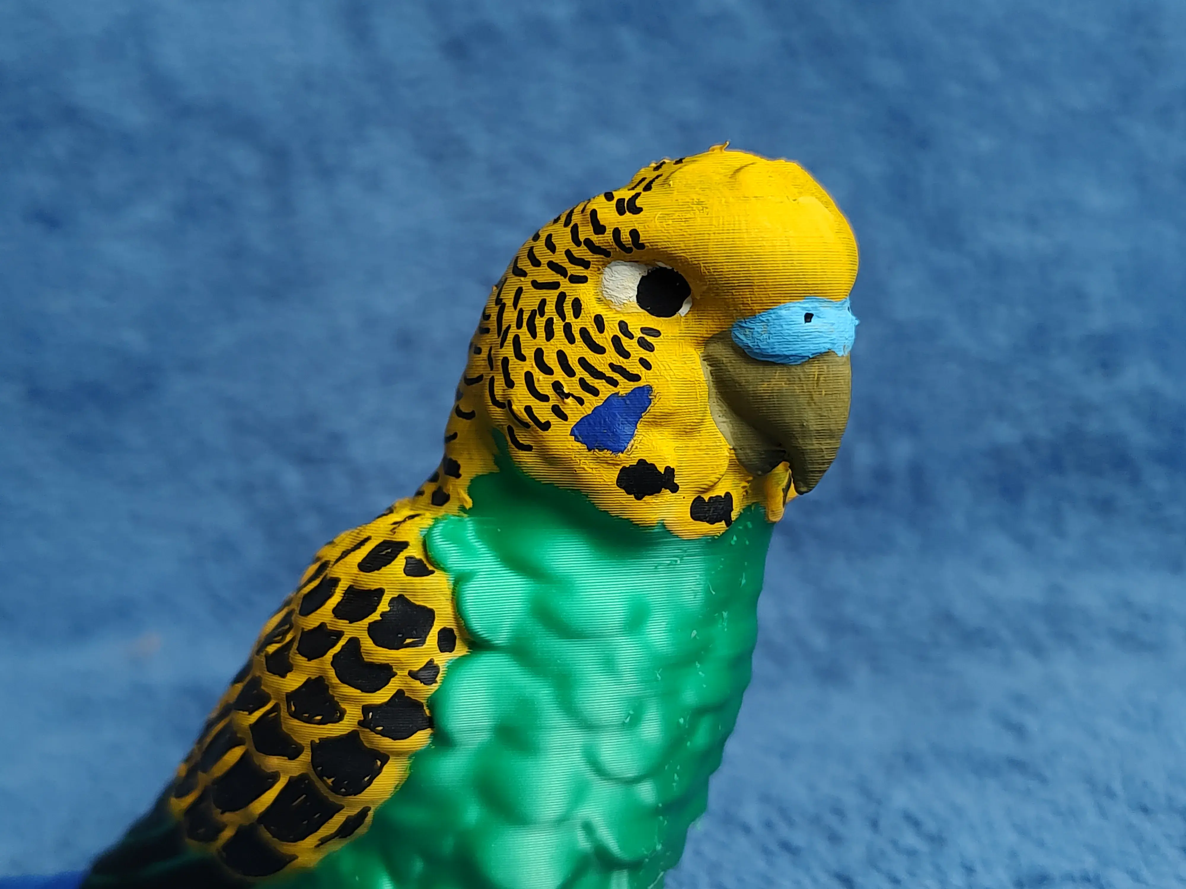 Budgie | 3D models download | Creality Cloud