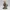 Foxblade Woodland Ranger – Noah 0x03