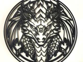 Dragon shield