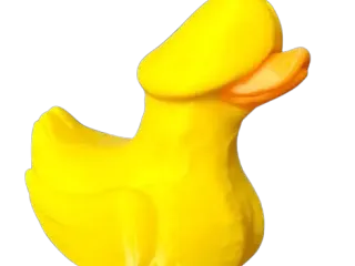 dick duck