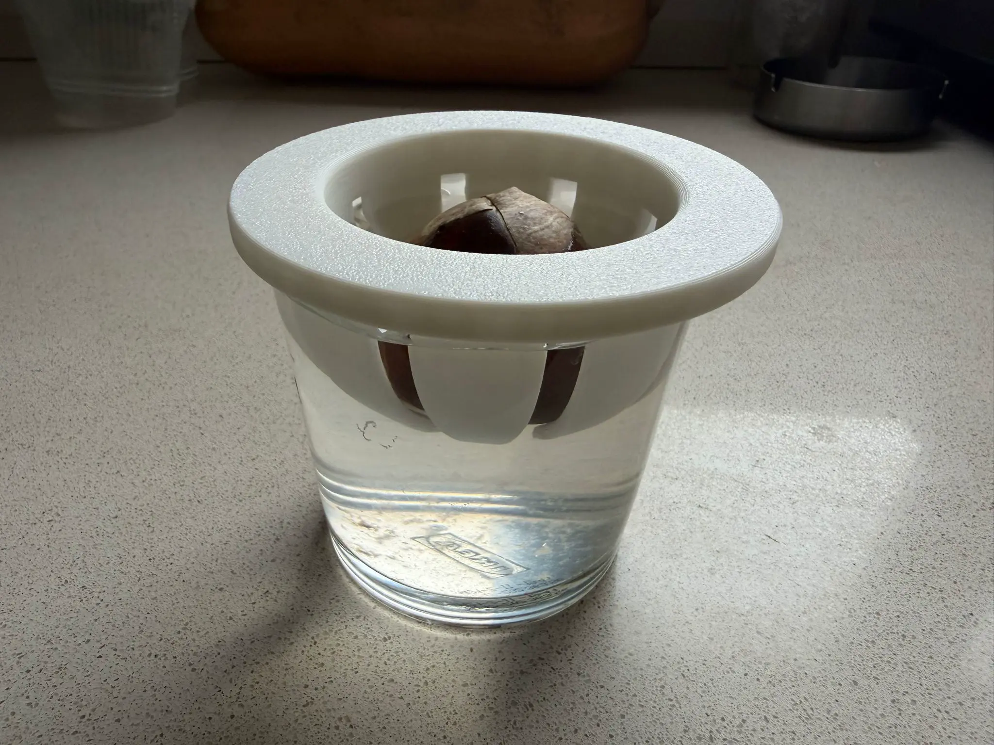 GERMINADOR AGUACATES v2