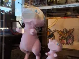 Window Mew Multicolor-1