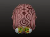 FlutterBrain the Quirky Planter 🪴🌱🌿🧠-3