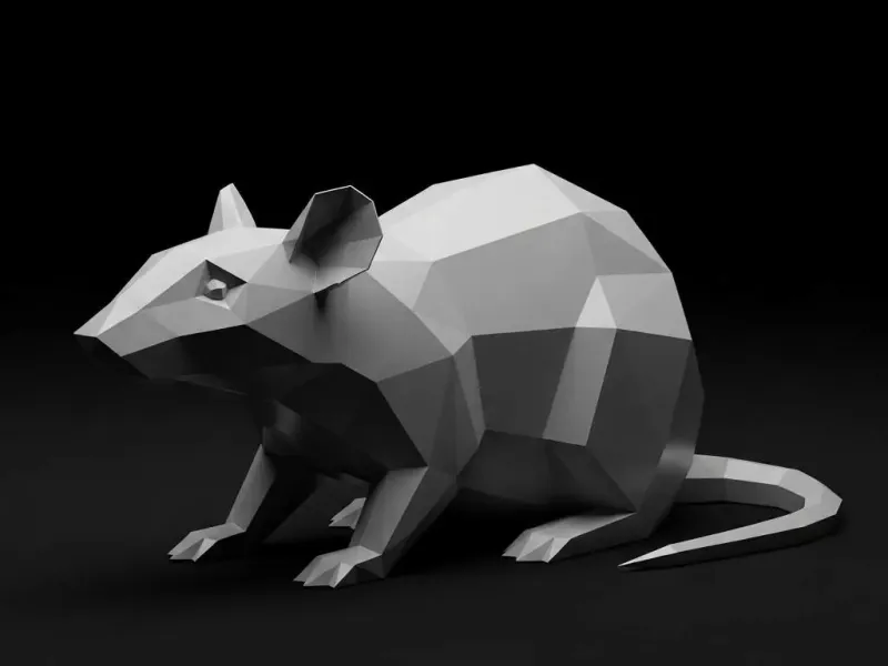 Rat