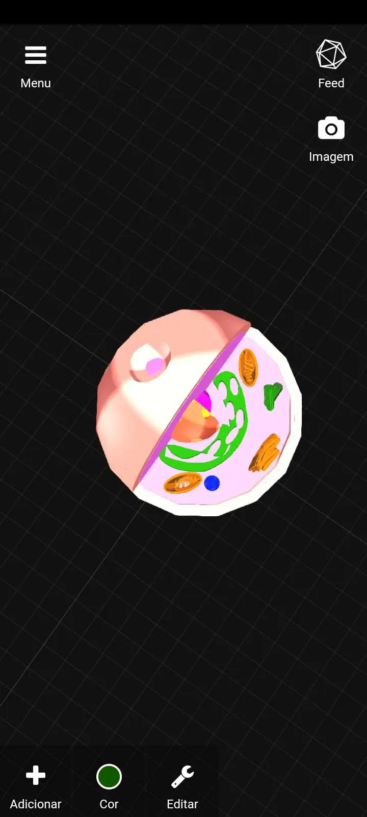 Cell / Célula